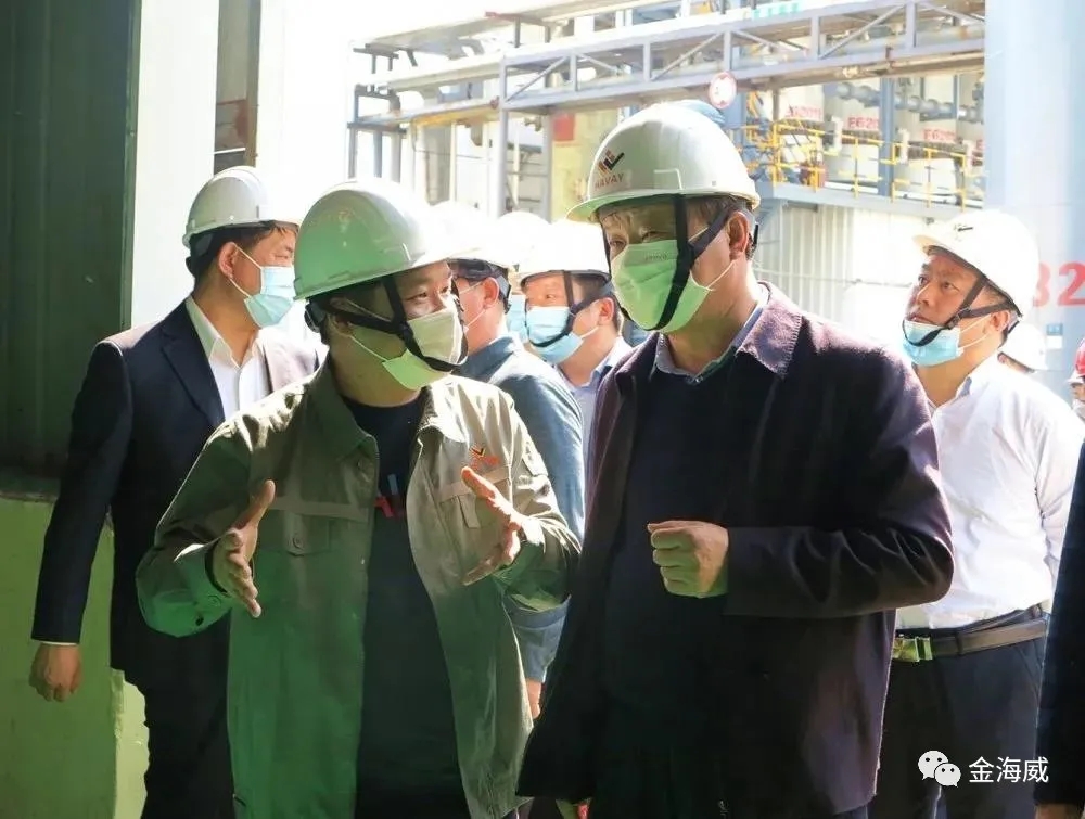 Song Hongyin, member of the Standing Committee and Deputy Mayor of Tai'an Municipal Committee, visited HAVAY